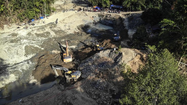 Greenpeace beber sejumlah pasal dalam Perppu Ciptaker yang masih sama dengan di dalam UU Ciptaker inkonstituonalitas bersyarat yang memperburuk lingkungan.