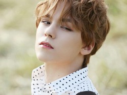 Vernon SEVENTEEN Positif Covid-19