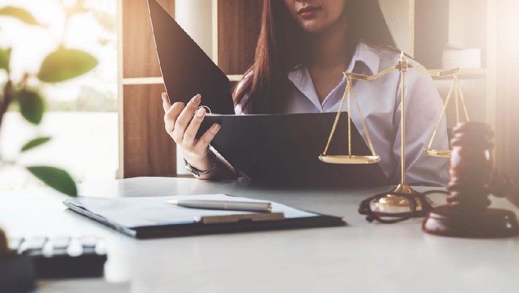 The law should know the concept, business entrepreneur woman, read the rules of business that her does business.