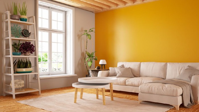 Modern living room interior with sofa. 3d Render