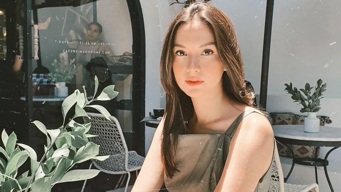 Inspirasi Rumah Minimalis Modern ala Karina Nadila