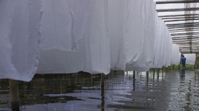 Banjir dan Longsor Terjang Kupang, Kepala BPBD Menyerah
