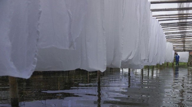 Kepala BPBD Kota Kupang menyatakan tak mampu menangani bencana banjir dan tanah longsor yang terjadi sejak Sabtu (3/4). Korban terus ada, tapi bantuan tidak ada
