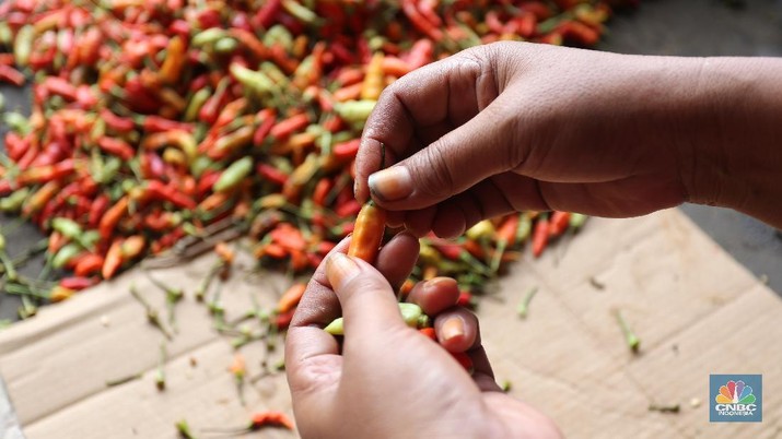 Sejumlah pedagang melakukan bongkar muat cabai rawit merah di Pasar Kramat Jati, Jakarta, Jumat (26/2/2021). Cabai rawit merah kini naik 100 ribu per kilogram yang sebelumnya hanya 60 ribu per kilogram, kenaikan diduga faktor dari cuaca ekstrem. Susanto (58) pedagang asal Jawa Tengah yang membuka lapak di Los H mengatakan 