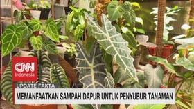 VIDEO: Memanfaatkan Sampah Dapur Untuk Penyubur Tanaman