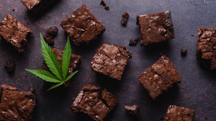 Duh! 3 Siswi Sekolah Bergengsi Ini Tak Sengaja Makan Brownies Ganja
