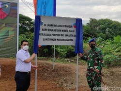 Pemprov DKI Bangun Agrowisata di Lanud Halim, Wagub: Untuk Edukasi Anak-anak