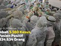VIDEO: Positif Covid-19 Harian Turun Jadi 5.560 Kasus