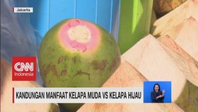VIDEO: Kandungan Manfaat Kelapa Muda Vs Kelapa Hijau