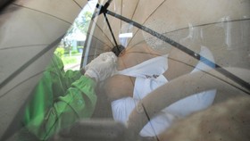 Kadinkes Bali Sebut Vaksinasi Booster Akan Opsional karena Berbayar
