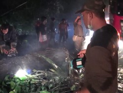 Hujan Deras, Pohon Pinus Tumbang Halangi Jalan Penghubung Bandung-Cirebon