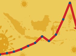 Data Corona Selama Setahun