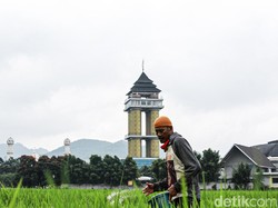 Program Petani Milenial, Pemkab Bandung Klaim Punya Banyak Lahan