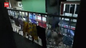 VIDEO: Detik-detik Jurnalis Myanmar Ditangkap Terkait Kudeta