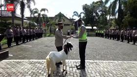 VIDEO: Rajin Apel Pagi, Polisi Dihadiahi Kambing