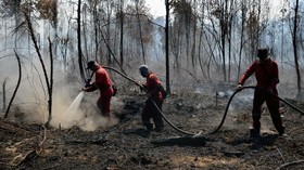 img-title LSM: 15 Titik Panas Riau Ada di Lahan Konsesi HTI dan HGU