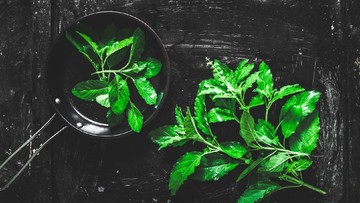 OREGANO DAN ROSEMARY
