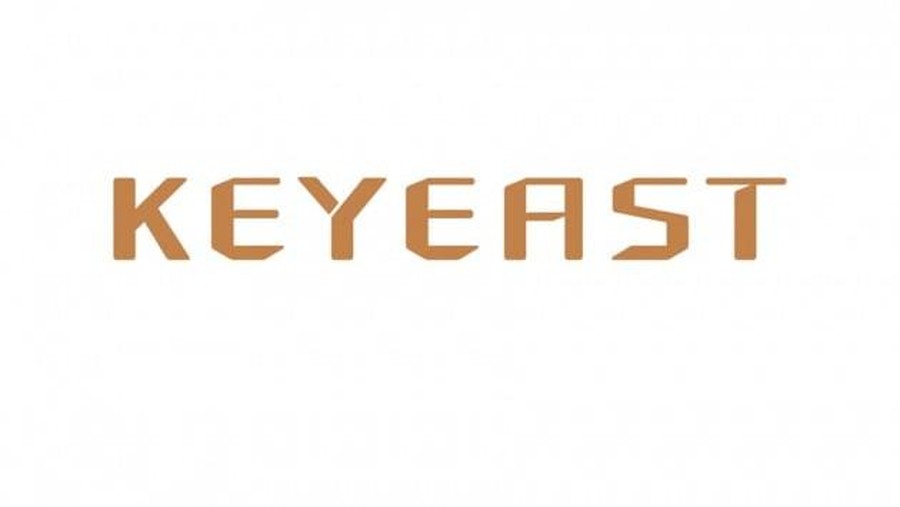 Keyeast Logo