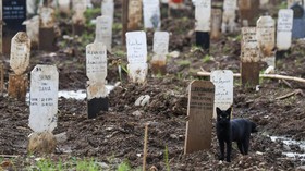 DKI Buka Suara soal Tudingan Boros Pengadaan Lahan Makam