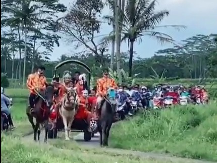 Unik Bun! Arak-arakan Pengantin Naik Kereta Kuda Lintasi Sawah