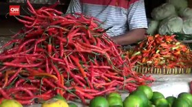 VIDEO: Harga Cabai Rawit Di Jakarta Masih selangit