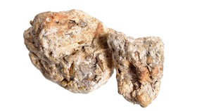 Mengenal Ambergris, Muntahan Paus Harga Miliaran