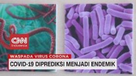 VIDEO: Covid-19 Diprediksi Menjadi Endemik