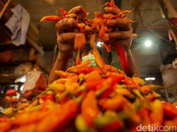 Harga Cabai Rawit Terus Meroket, Ini 3 Alternatif Penggantinya!