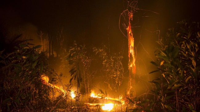 Lahan seluas 3 hektar di Ogan Ilir, Sumatera Selatan yang terbakar pada Selasa (12/10) sudah berhasil padam di seluruh ruas wilayah.