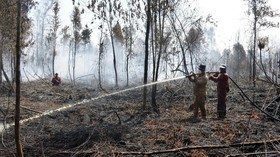 BNPB: Tunggakan Pembayaran Bencana Karhutla Rp1,3 T