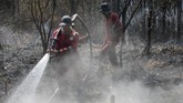 FOTO: Kebakaran Hutan Riau Meluas Kebakaran hutan dan lahan di sejumlah wilayah Riau semakin meluas.