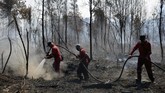 FOTO: Kebakaran Hutan Riau Meluas Kebakaran hutan dan lahan di sejumlah wilayah Riau semakin meluas.