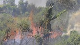 FOTO: Kebakaran Hutan Riau Meluas Kebakaran hutan dan lahan di sejumlah wilayah Riau semakin meluas.