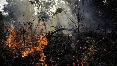 BMKG Pantau 50 Titik Panas di Kalimantan Selatan