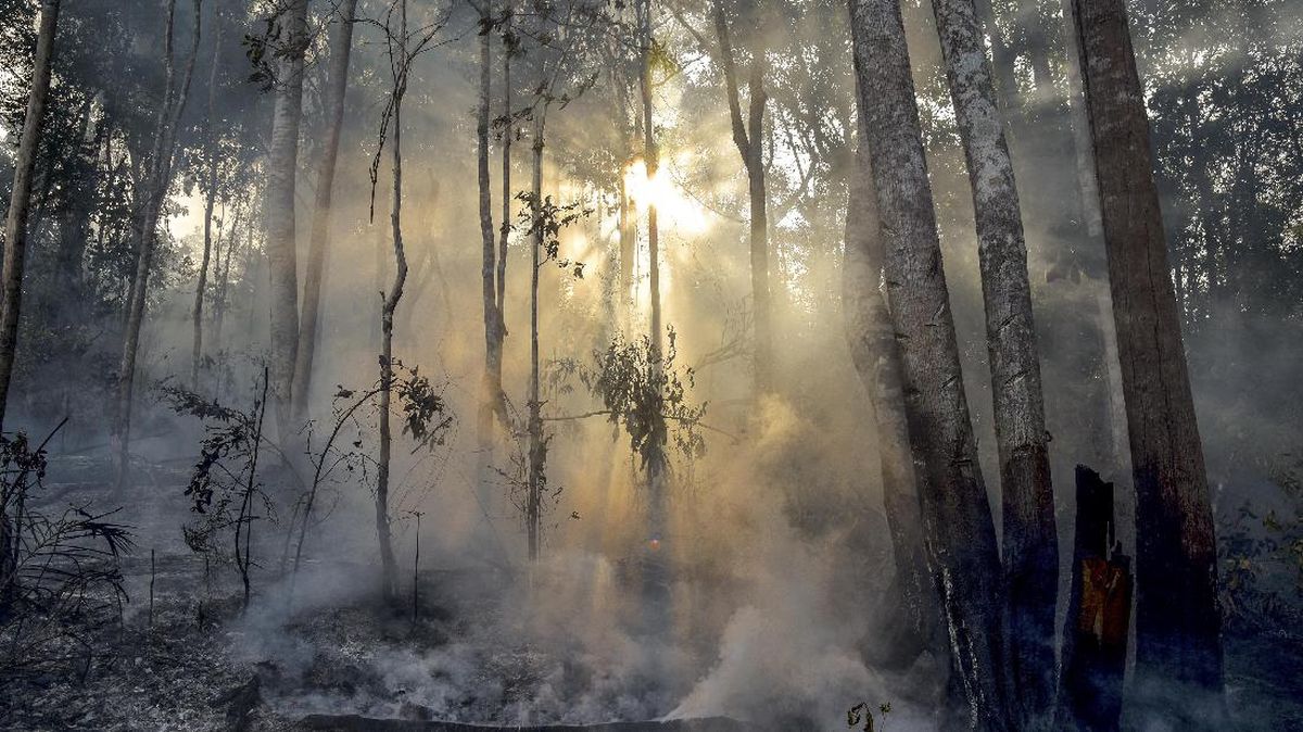 123 Hotspot Terindikasi Karhutla Terpantau di Riau