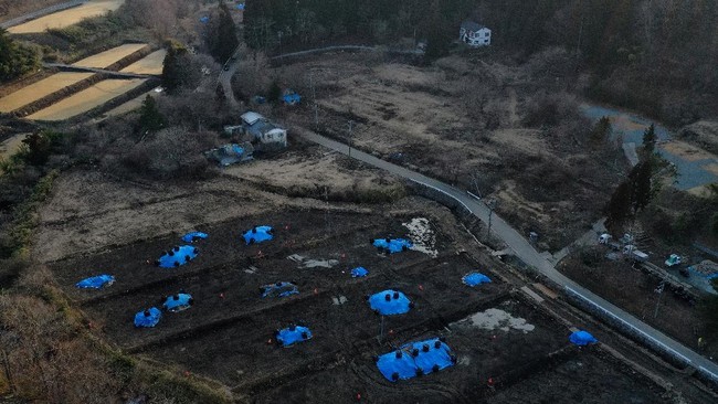 FOTO:Sakae Kato dan Cinta untuk Kucing Terlantar di Fukushima