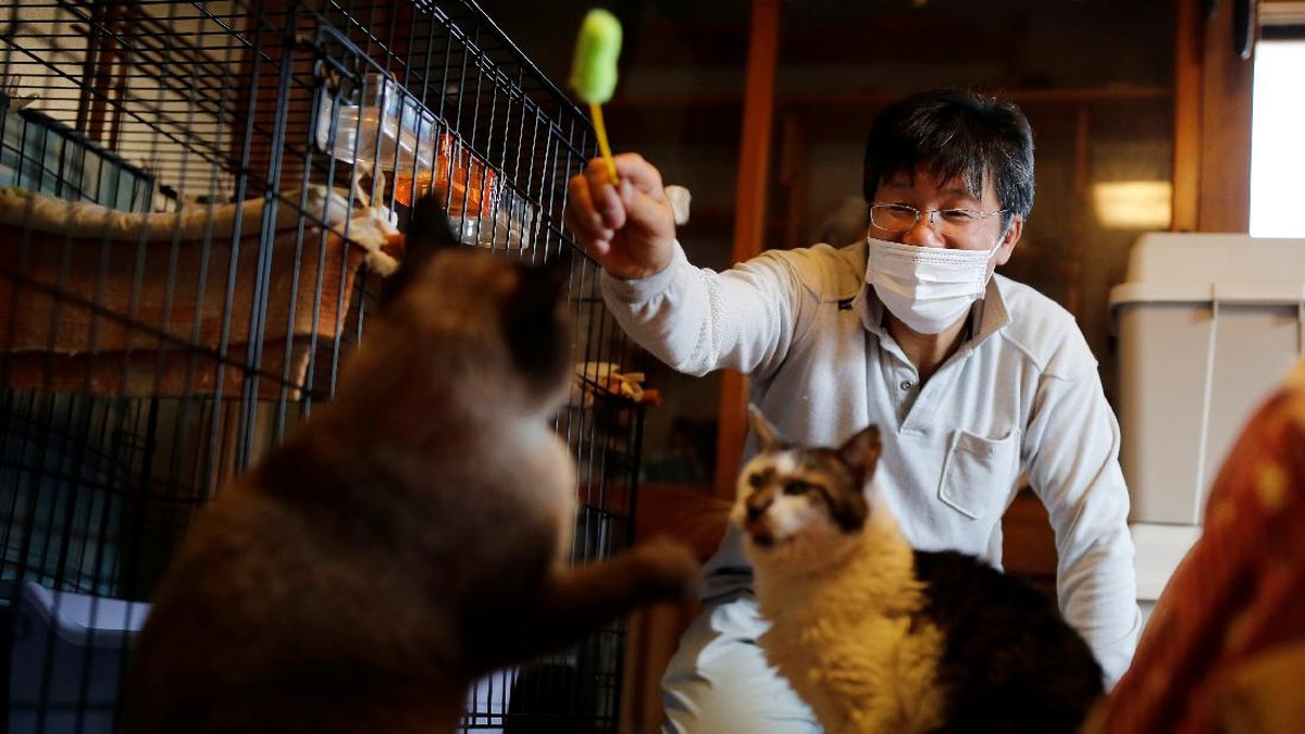 FOTO:Sakae Kato dan Cinta untuk Kucing Terlantar di Fukushima