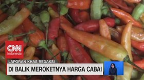 VIDEO: Di Balik Meroketnya Harga Cabai