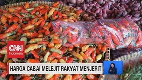 VIDEO: Harga Cabai Melejit, Rakyat Menjerit