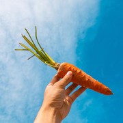 Rendah Kalori, 5 Jenis Sayuran Pasar Ini Percepat Dietmu!