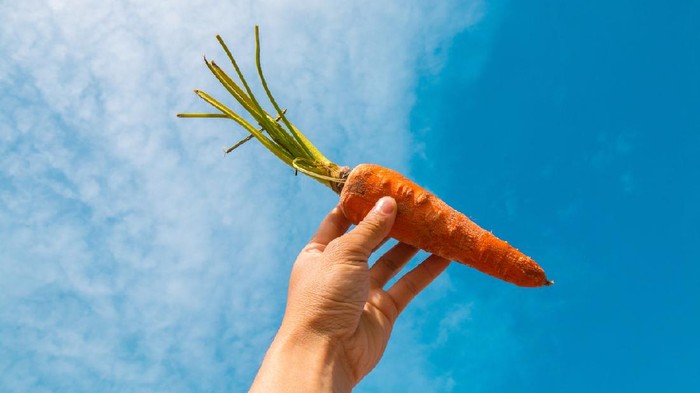 Rendah Kalori, 5 Jenis Sayuran Pasar Ini Percepat Dietmu!