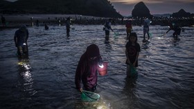 FOTO: Mencari si Putri Cacing di Pantai Mandalika