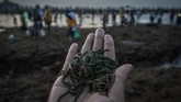 FOTO: Mencari si Putri Cacing di Pantai Mandalika Tradisi Bau Nyale di Lombok, NTB, tetap digelar di tengah pandemi. Petugas keamanan berjaga untuk mengawasi protokol kesehatan ribuan pengunjung.