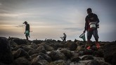 FOTO: Mencari si Putri Cacing di Pantai Mandalika Tradisi Bau Nyale di Lombok, NTB, tetap digelar di tengah pandemi. Petugas keamanan berjaga untuk mengawasi protokol kesehatan ribuan pengunjung.