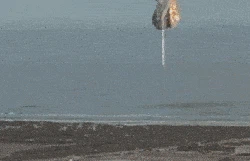 Roket SpaceX Starship Berhasil Mendarat, Tapi Langsung Meledak