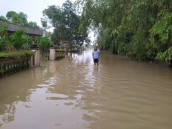 Kali Lamong Meluap Rendam 5 Desa di Gresik