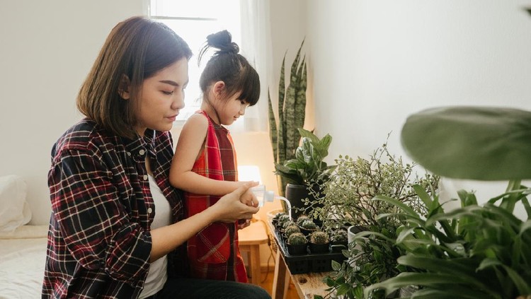 Ilustrasi Berkebun Happy little girl with mother smiling and having fun holding pot with planted cactus near window sill at home.