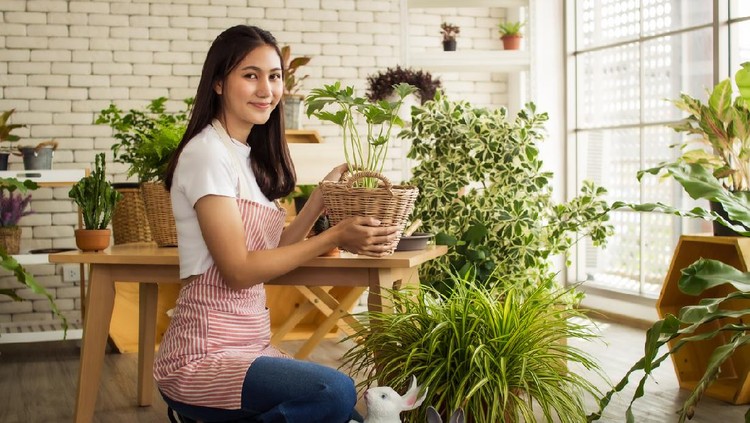asia  beautiful woman taking care of her potted plants at home