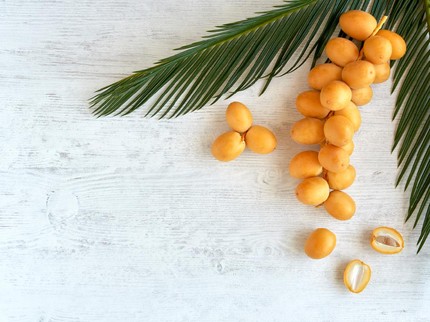 Benarkah Konsumsi Kurma Muda Bermanfaat untuk Promil?