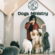 Pecinta Hewan, Kunjungi Pet Cafe Gemas di Jakarta Ini Yuk!